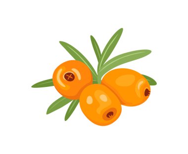 Deniz karabatağı simgesi. Yeşil yapraklı sağlıklı böğürtlenin vektör çizimi.