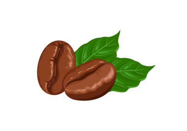 Beyaz arka planda kavrulmuş kahve çekirdekleri ve yeşil yapraklar. Vektör çizgi film illüstrasyonu.