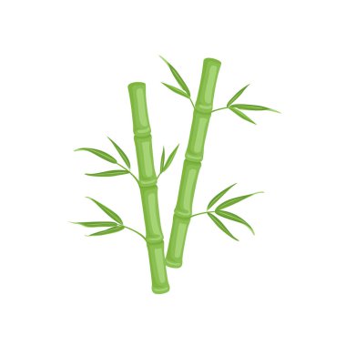 Yapraklı yeşil bambu sapı. Vektör çizgi film düz illüstrasyon.