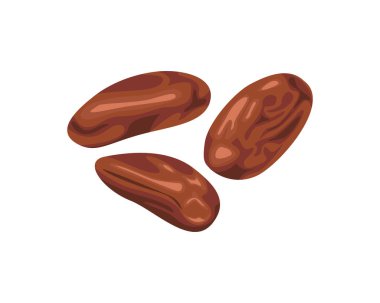 Beyaz arka planda izole edilmiş kakao çekirdekleri. Vektör çizgi film düz illüstrasyon.