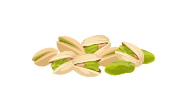 Beyaz arka planda Pistachios izole edilmiş. Vektör karikatür düz çizim. Sağlıklı yiyecek simgesi.