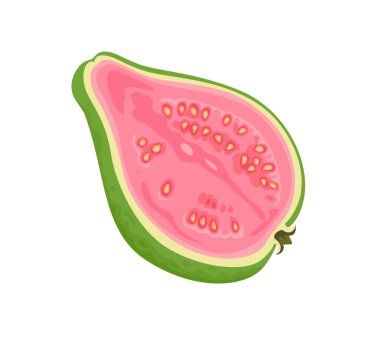 Guava beyaz arka planda izole edildi. Vektör karikatür düz çizim. Yarılanmış meyve simgesi.