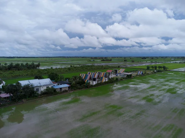 Вид Повітря Польову Ферму Після Дощу — стокове фото