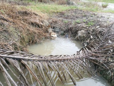 Yağmur suları çiftliği sular altında bıraktı beton silindirli drenaj