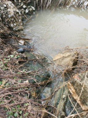 Yağmur suları çiftliği sular altında bıraktı beton silindirli drenaj