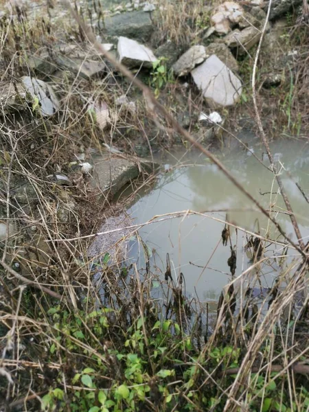 scene of the rain water flooded the farm concrete cylindrical drain