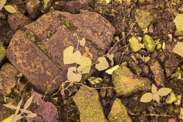 Kayalık Yüzey Yoluna Bakarken Kızılötesi Görüntü — Stok fotoğraf