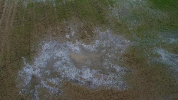 Zdjęcia Lotnicze Farmy Pól Ryżowych Zalanej Wodą Deszczu — Wideo stockowe