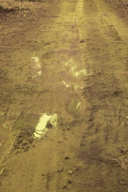 Yoldaki çamurlu su havuzunun kızılötesi görüntüsü.