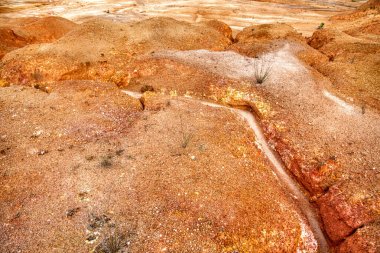 Topraktaki toprak erozyonunun nedenlerini çıkarıyorlar..