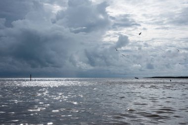 Ufuk denizinin üzerinde uçan bir kartal..