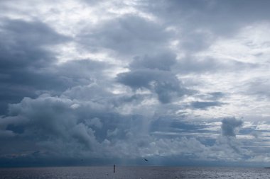 Ufuk denizinin üzerinde uçan bir kartal..