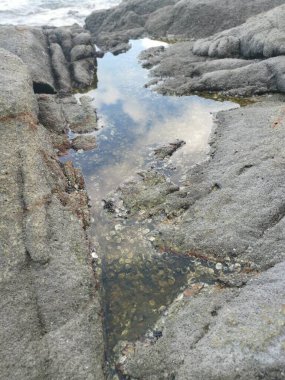 Deniz kenarında bir sürü büyük kaya bulundu.