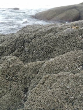 Deniz kenarında bir sürü büyük kaya bulundu.