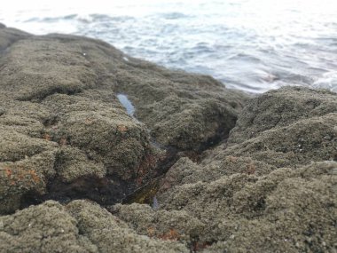 Deniz kenarında bir sürü büyük kaya bulundu.