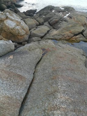 Deniz kenarında bir sürü büyük kaya bulundu.