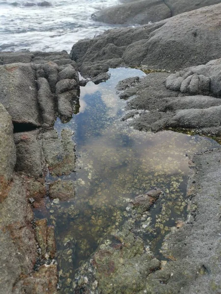 바다를 바위들이 있습니다 — 스톡 사진