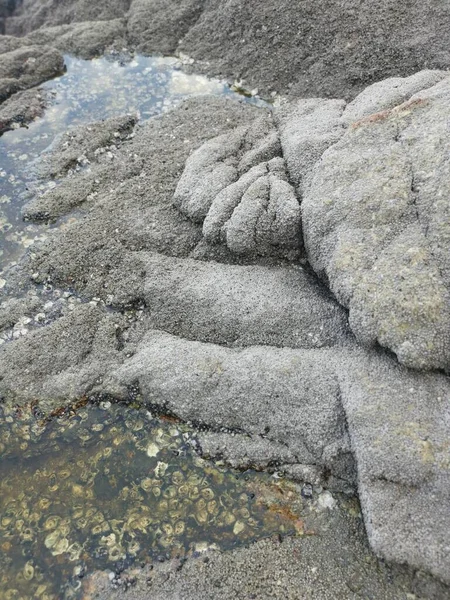 Muitas Rochas Enormes Encontradas Longo Litoral — Fotografia de Stock