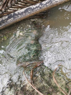 Yağmur suyu drenaj nehri boyunca akıyor..