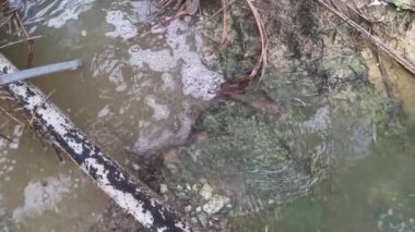 Çiftlik drenajı boyunca akan yağmur suyu.