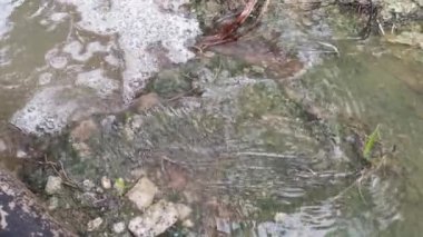 Çiftlik drenajı boyunca akan yağmur suyu.