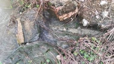 Çiftlik drenajı boyunca akan yağmur suyu.