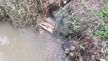 Çiftlik drenajı boyunca akan yağmur suyu.