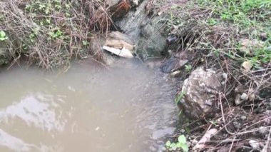 Çiftlik drenajı boyunca akan yağmur suyu.