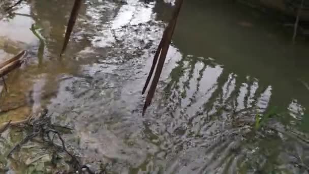 Dešťová Voda Proudící Podél Odvodnění Farmy — Stock video
