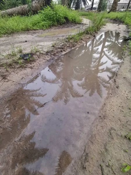 stock image reflective pool of stagnant water on the rural pathway  