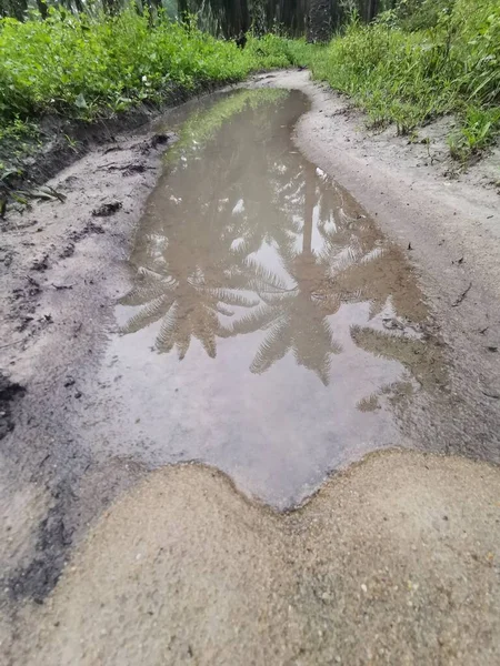 reflective pool of stagnant water on the rural pathway
