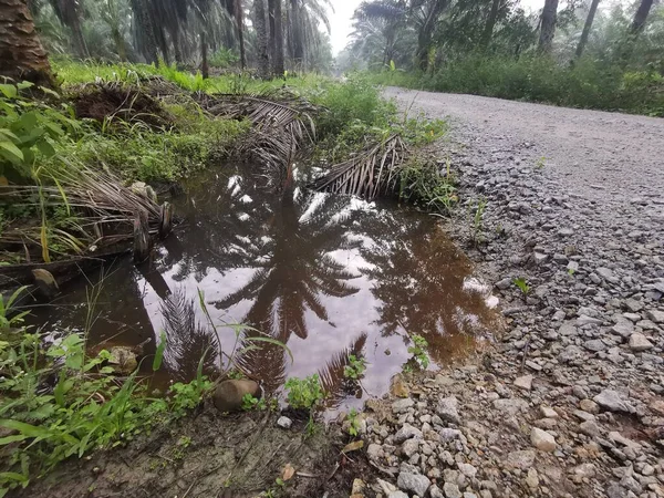 Reflecterende Poel Van Stilstaand Water Het Landpad — Stockfoto