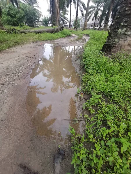 reflective pool of stagnant water on the rural pathway