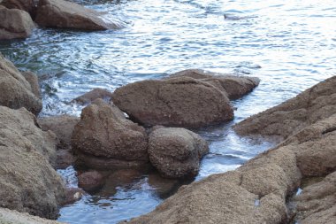 Sahilde bulunan kayaların kızılötesi görüntüsü.