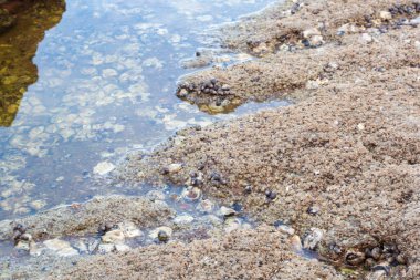 Sahilde bulunan kayaların kızılötesi görüntüsü.