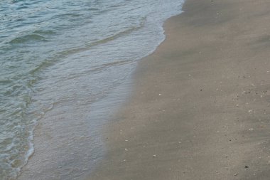 Kumsaldaki güneşli günün kızılötesi görüntüsü..