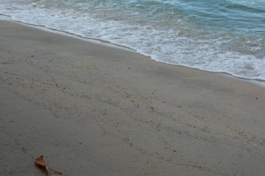 Kumsaldaki güneşli günün kızılötesi görüntüsü..