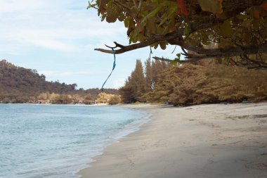 Kumsaldaki güneşli günün kızılötesi görüntüsü..