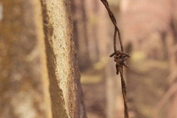 Beton Direğe Bağlanmış Eski Paslı Dikenli Telin Kızılötesi Görüntüsü — Stok fotoğraf