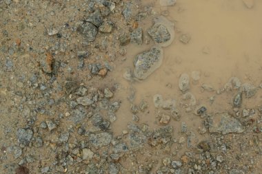 Durgun yağmur suyunun kızıl ötesi görüntüsü palmiye tarlasını su basmış ve boşaltmış.