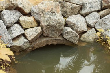 Durgun yağmur suyunun kızıl ötesi görüntüsü palmiye tarlasını su basmış ve boşaltmış.