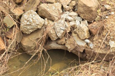 Durgun yağmur suyunun kızıl ötesi görüntüsü palmiye tarlasını su basmış ve boşaltmış.