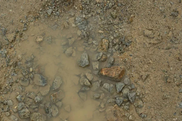 Infrarood Beeld Van Het Stilstaande Regenwater Overstroomd Het Oliepalmveld Afvoer — Stockfoto