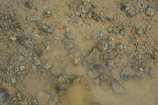 Инфракрасное Изображение Застойной Дождевой Воды Затопленной Пальмовом Масле Дренажной — стоковое фото