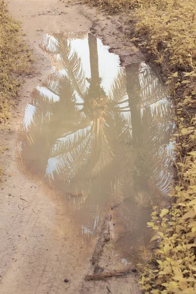 infrared image of the stagnant rain water inundated at the oil palm field and drain
