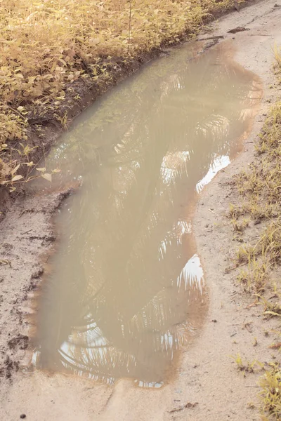 Инфракрасное Изображение Застойной Дождевой Воды Затопленной Пальмовом Масле Дренажной — стоковое фото