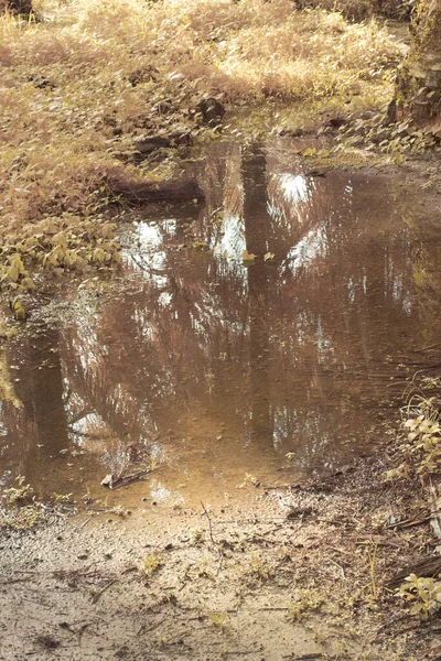 Infraröd Bild Stillastående Regnvatten Översvämmas Vid Oljepalmfältet Och Avlopp — Stockfoto
