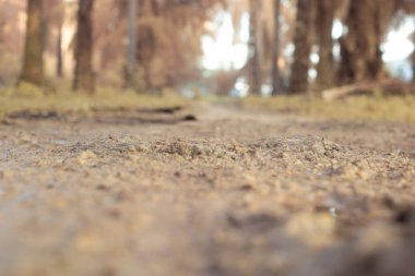 Yerden tarlaya doğru bakan yüksek açı görüntüsünün kızılötesi görüntüsü.