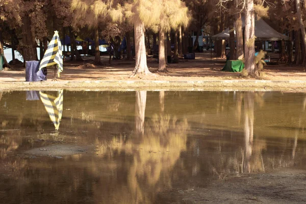 公園内の停滞した水の反射プールの赤外線画像 — ストック写真