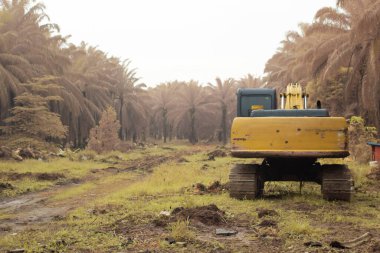 Çiftlikteki terk edilmiş hidrolik kazıcı makinesinin kızılötesi görüntüsü.
